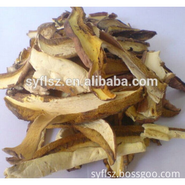 Professional Supply High Quality Dried Boletus Mushroom Cheap Prices